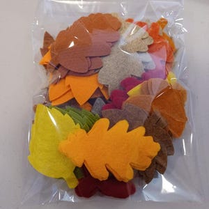 May include: A clear plastic bag filled with felt leaf cutouts in various autumn colors. The leaves are shades of orange, yellow, brown, and green. The bag is sealed, and the leaves are densely packed together.