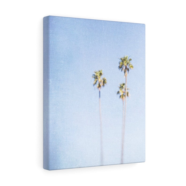 Picture on Canvas Gallery Wraps Palm Tree Photography