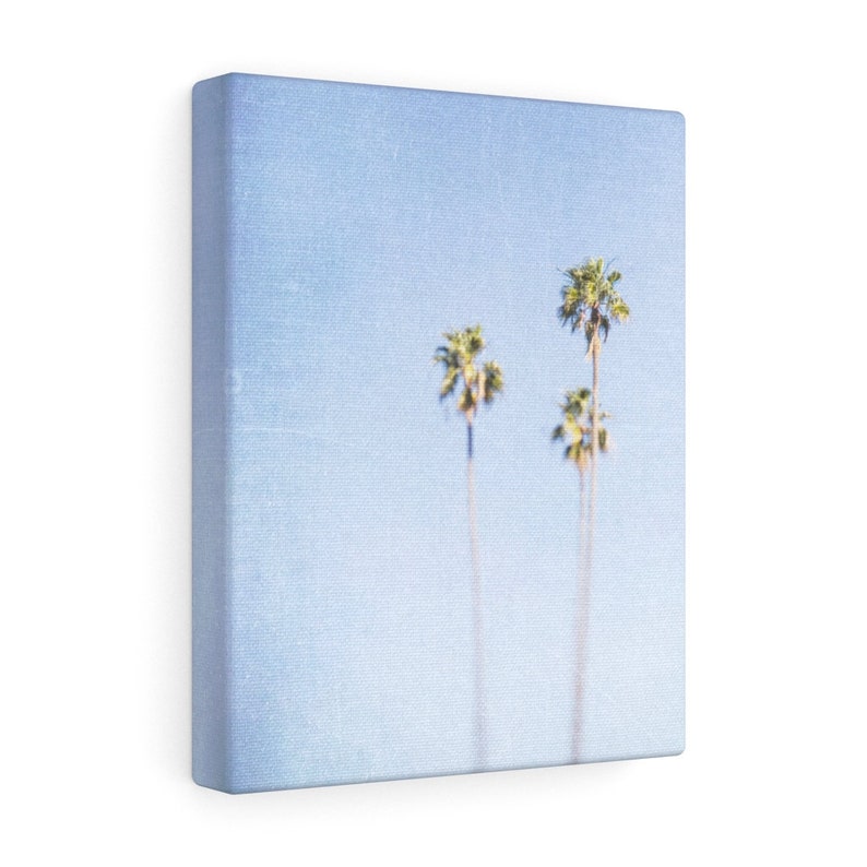 Picture on Canvas Gallery Wraps Palm Tree Photography