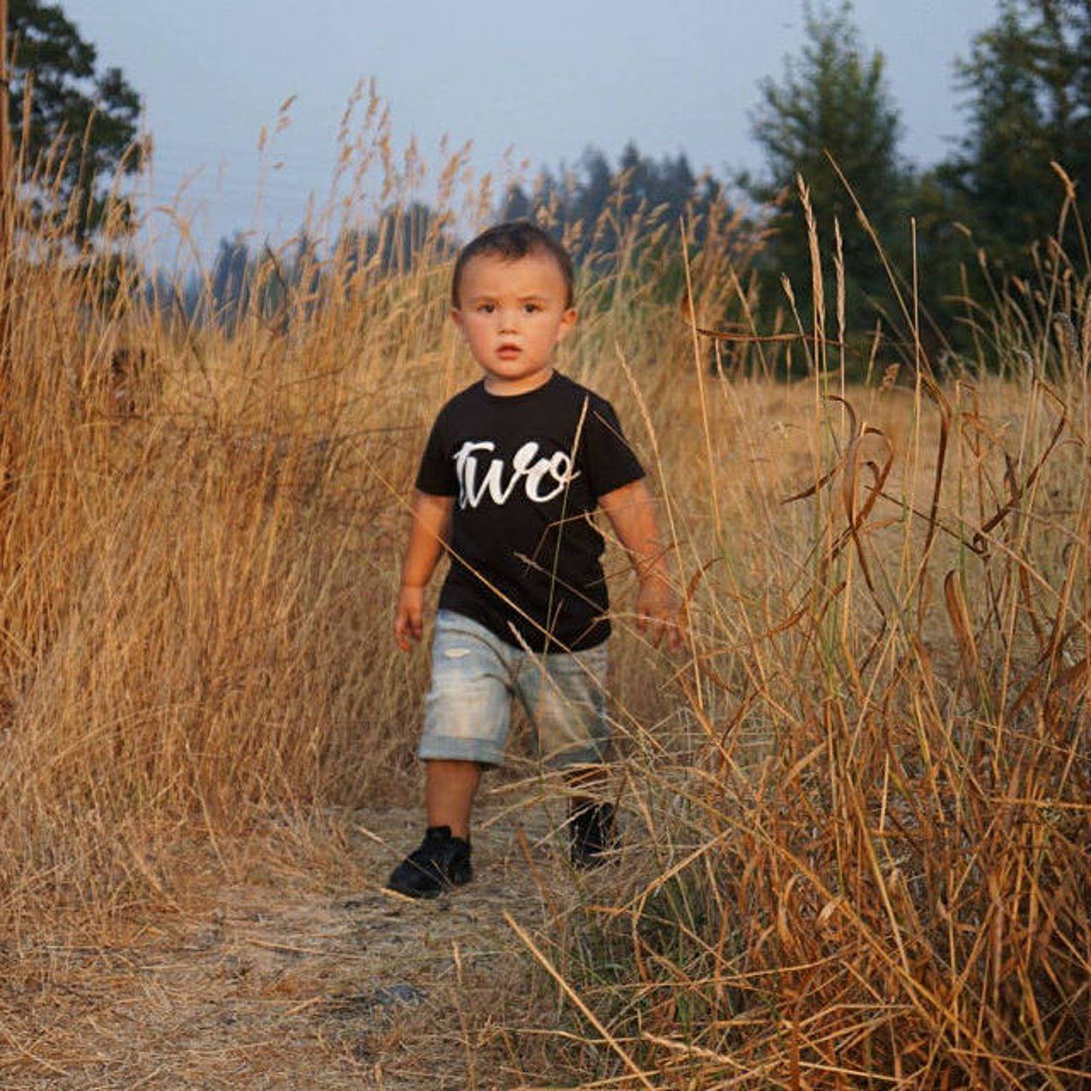2nd Birthday Shirt Boy Two Birthday Shirt 2 Years Old Etsy