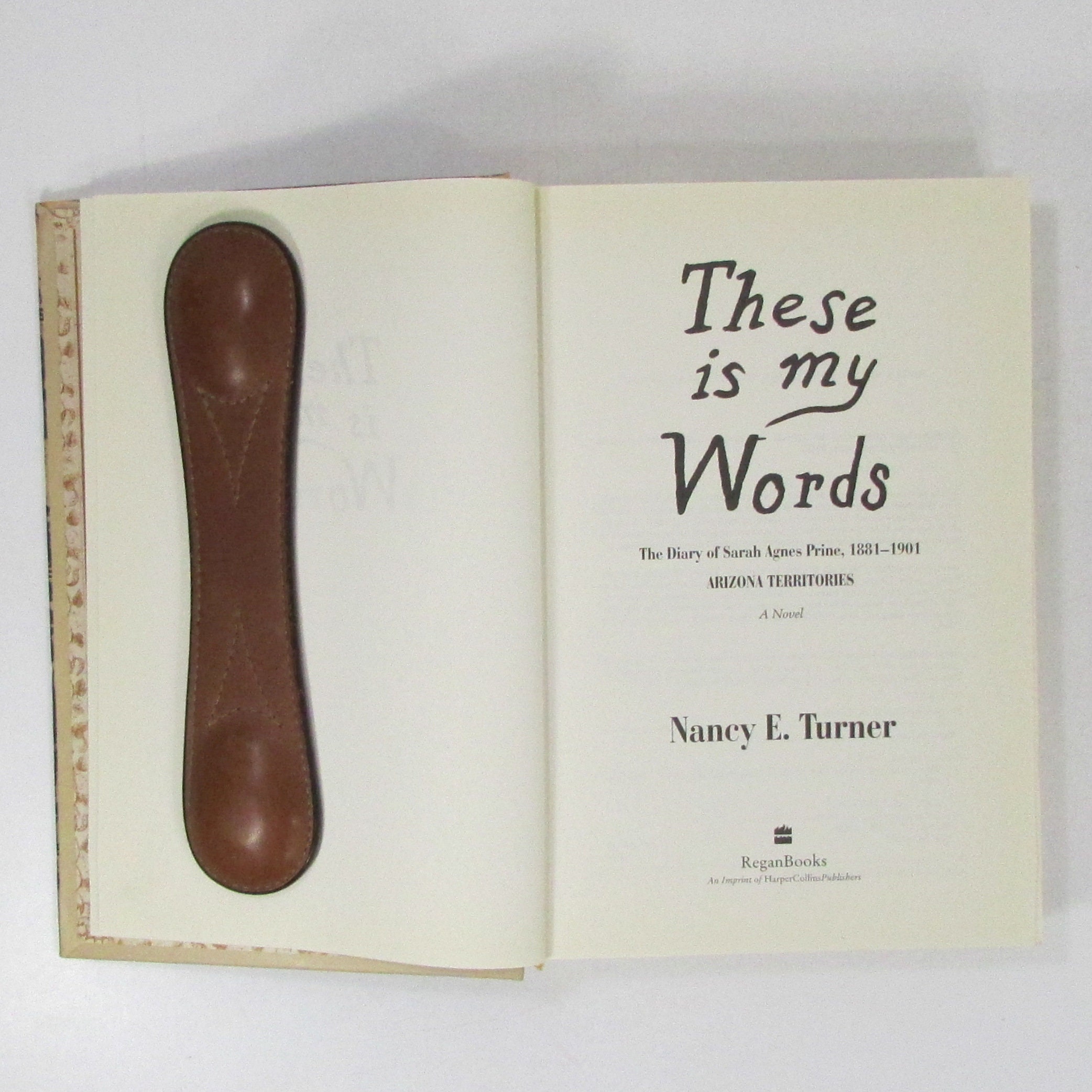 These is My Words the Diary of Sarah Agnes Prine,