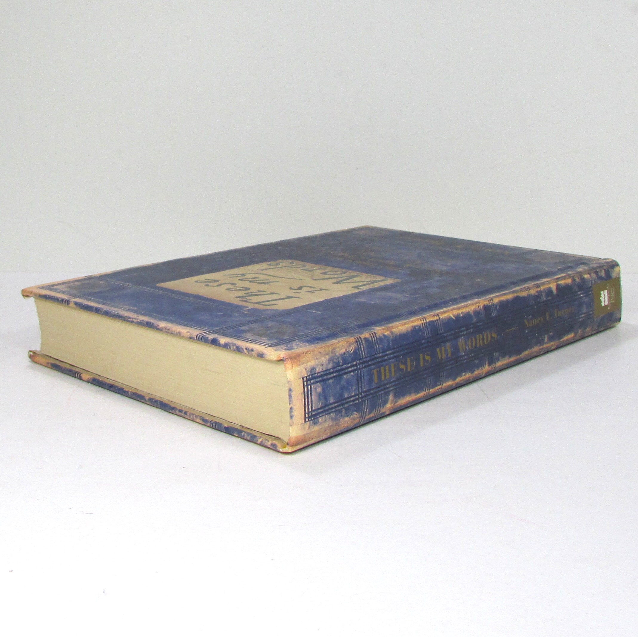 These is My Words the Diary of Sarah Agnes Prine,