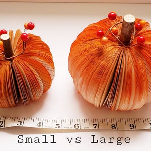 Shows the difference between a large and small pumpkin against a tape measure