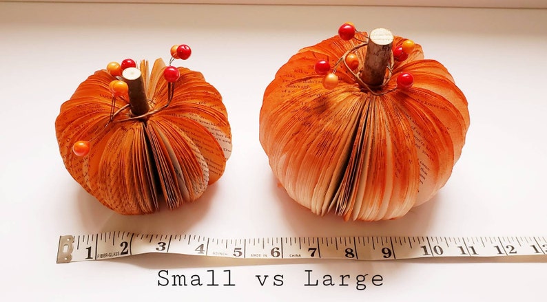 Shows the difference between a large and small pumpkin against a tape measure