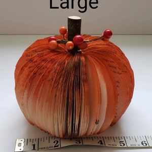 Shows the size of the pumpkin against a tape measure