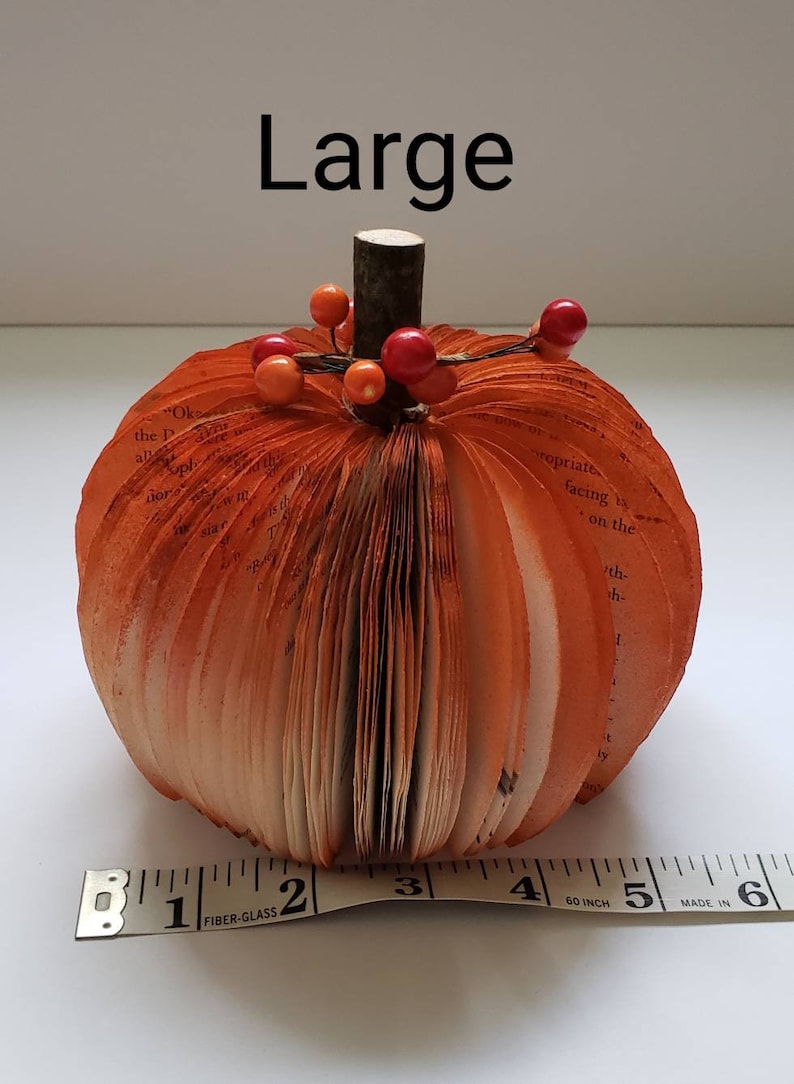 Shows the size of the pumpkin against a tape measure