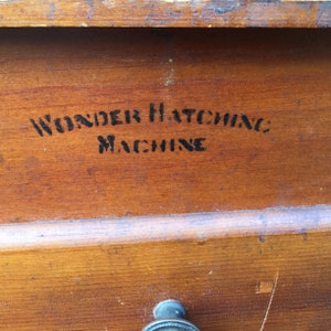 Antique/vintage Collectible Wooden Chicken Brooder Farmhouse Decor ...