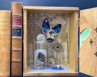 Essence of Butterly:Book Nook Shelf Insert and One of a Kind  Found Object, Cigar Box, miniature,  gift for book lovers, antique lovers