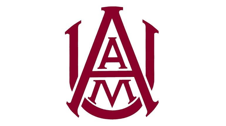 Alabama A&M SVG Digital File | Etsy