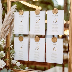 Classic Wedding Seating Chart, Wedding Seating Chart Template, Seating Chart Cards, Seating Cards Wedding, Table Seating Cards, Grace