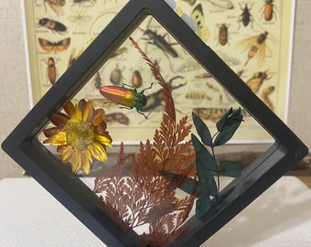 Real insect and flowers in floating frame.