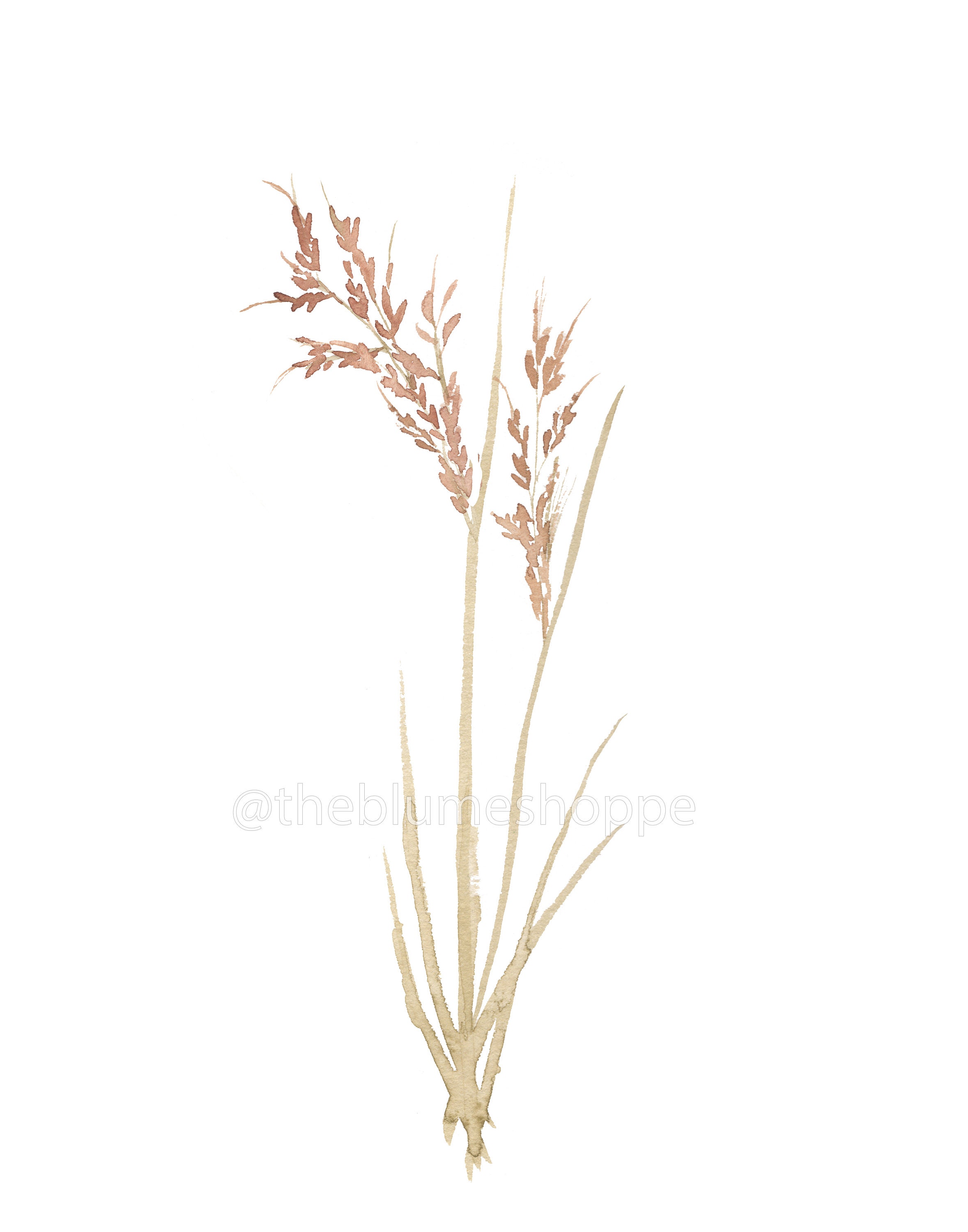 Prairie Grass Floral Wall Art Watercolor Print Floral Etsy
