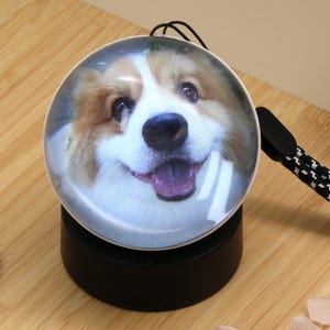 Può includere: Un oggetto decorativo rotondo e illuminato con il volto sorridente di un cane. L'oggetto poggia su una base nera e ha un cinturino da polso a fantasia bianca e nera. Fiori rosa in primo piano. L'oggetto è su una superficie di legno.