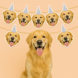 May include: A golden retriever dog wearing a party hat with a blue and pink striped pattern. The dog is surrounded by a string of party decorations featuring the same dog's face with party hats.