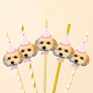 Custom Dog Face Banner, Personalized Dog Birthday Party banner, Pet photo Banner ,Party Decoration, Gifts for Pet Lover, Cat Birthday Banner image 8