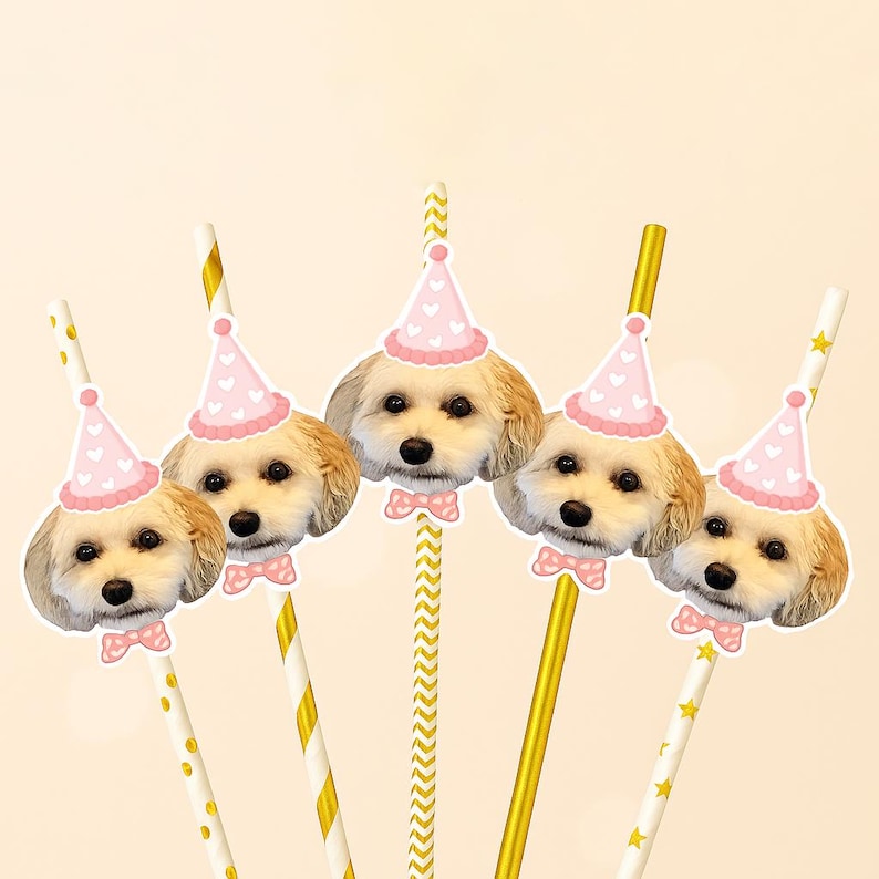 Custom Dog Face Banner, Personalized Dog Birthday Party banner, Pet photo Banner ,Party Decoration, Gifts for Pet Lover, Cat Birthday Banner image 8