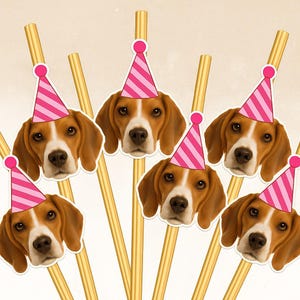 Custom Pet Drink Straws, Personalized Pet Face Drink Straws, Pet Picture Straws, Dog Birthday Party Decor, Dog Birthday Party Straws