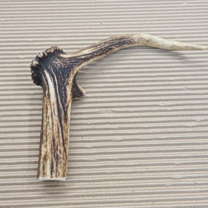 Beautiful Deer antler horn walking hikeing stick handle