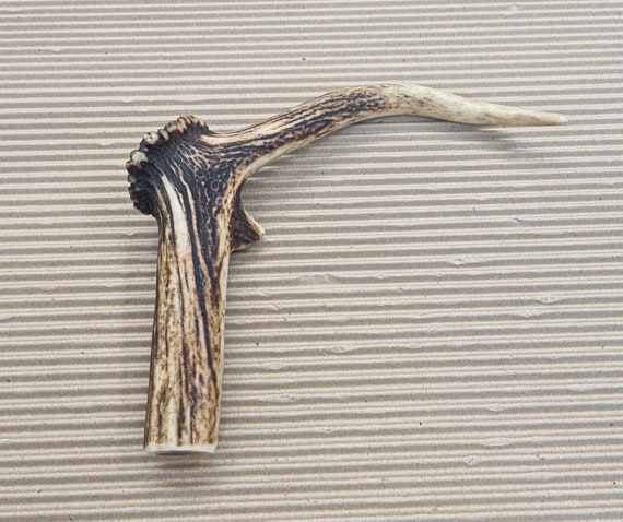 Arburese Da Scanno, Lama 11,5 Cm, Manico Corno Di Montone - Foto 7