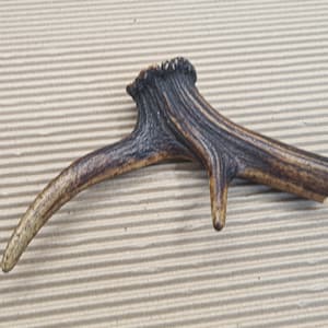 Beautiful Deer antler horn walking hikeing stick handle