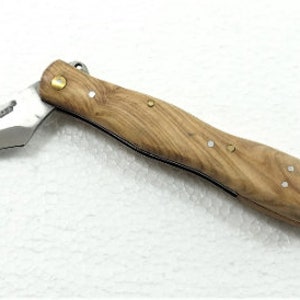 Taschenmesser Pilze Leopard