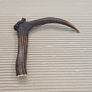 Beautiful Deer antler horn walking hikeing stick handle