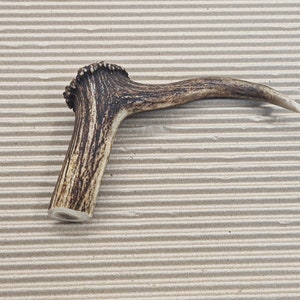 Beautiful Deer antler horn walking hikeing stick handle