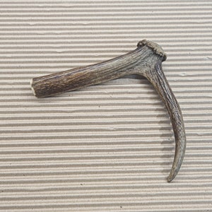 Beautiful Deer antler horn walking hikeing stick handle