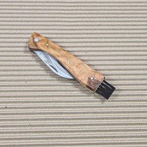 pocket knife mushrooms Leopard