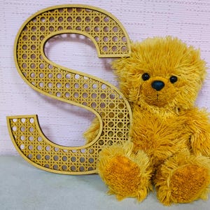 Placa personalizada com letras de vime para berçário, decoração para quarto de bebê, arte de parede neutra para quarto de criança, inicial de vime, placa para chá de bebê