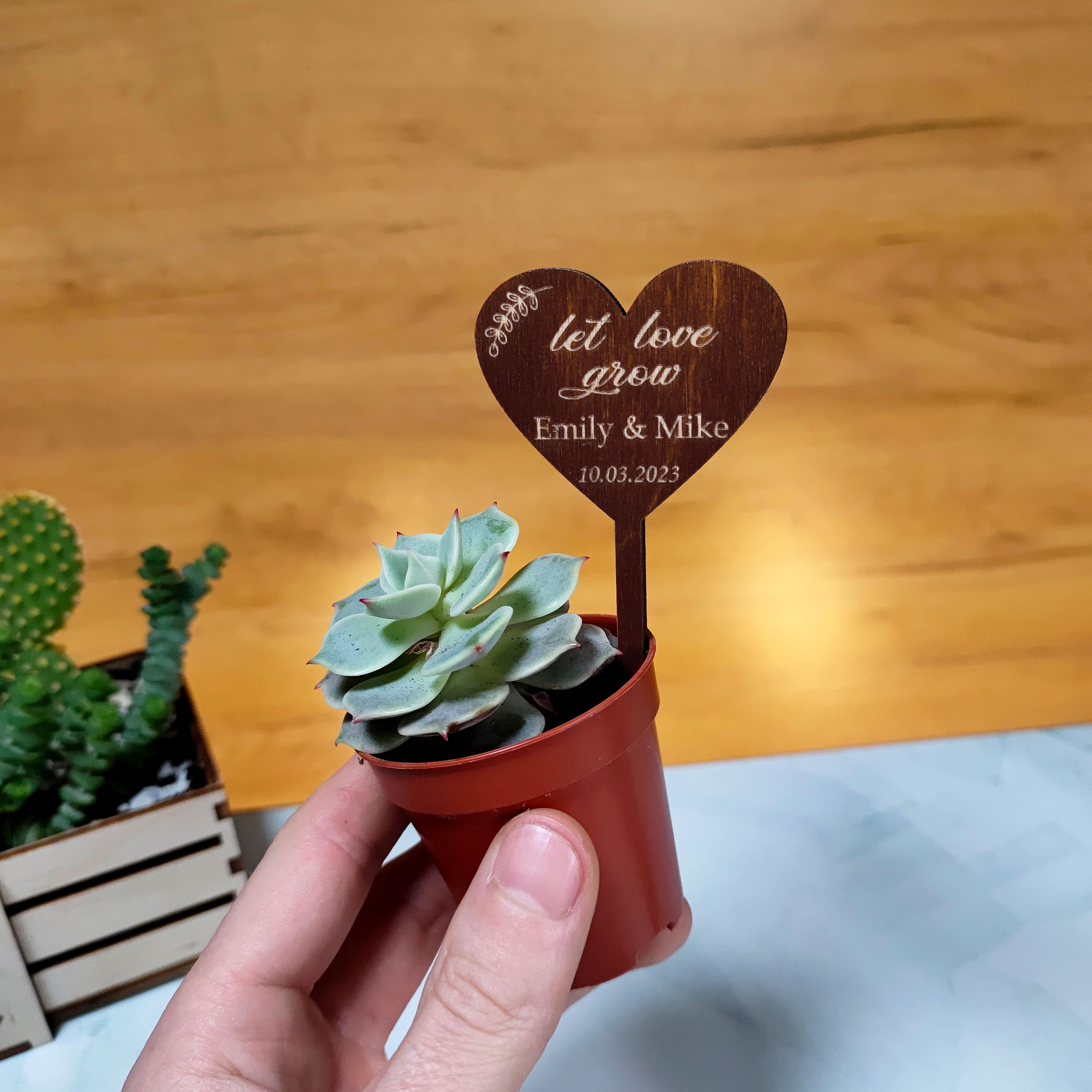 Personalized Hexagon Wooden Tags for Succulent Pot, Custom Wedding ...
