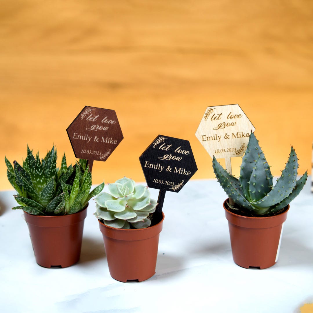 Personalized Hexagon Wooden Tags for Succulent Pot, Custom Wedding ...
