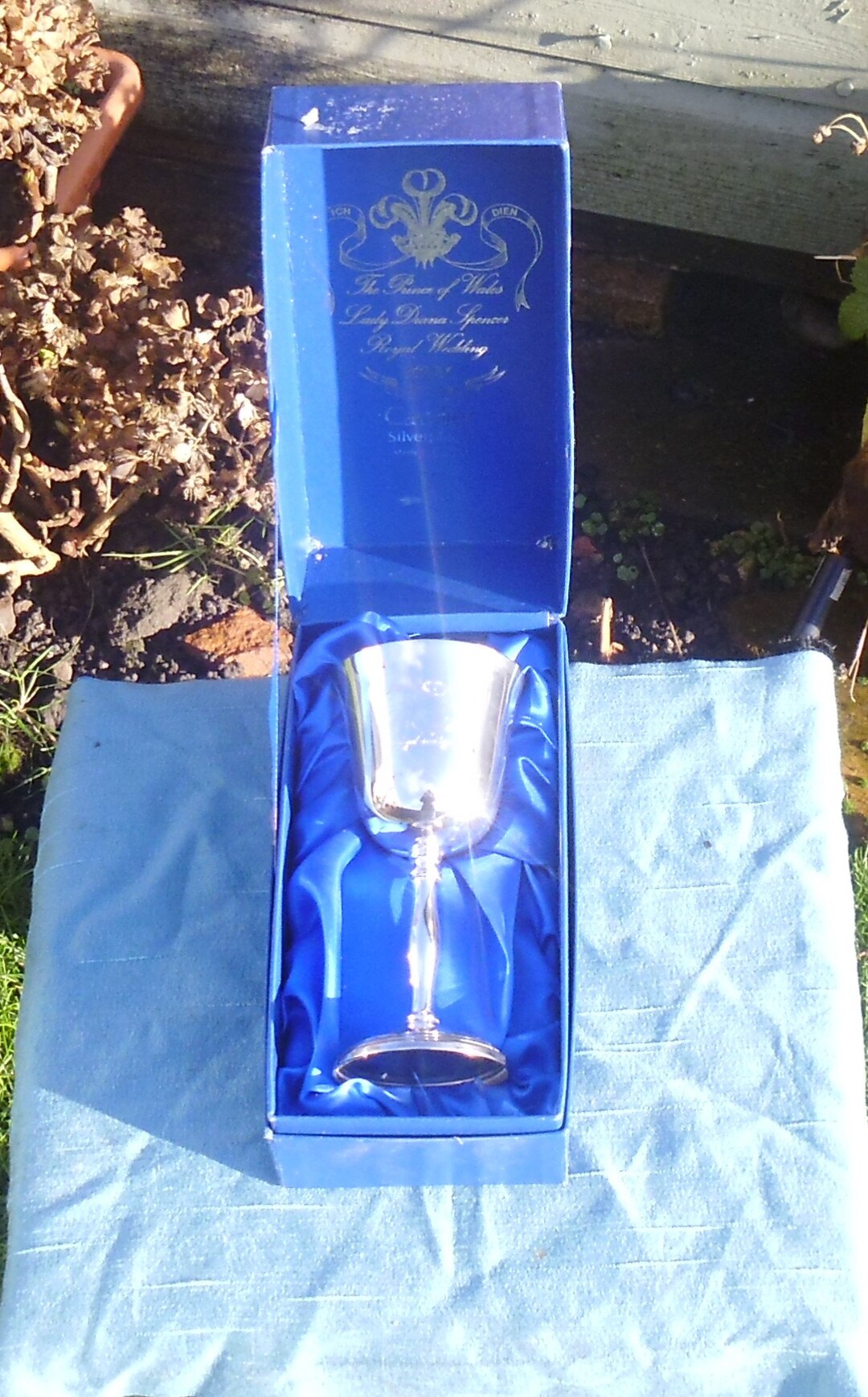 Vintage Silver Plated Goblet in Original Box, Commemorative Wedding