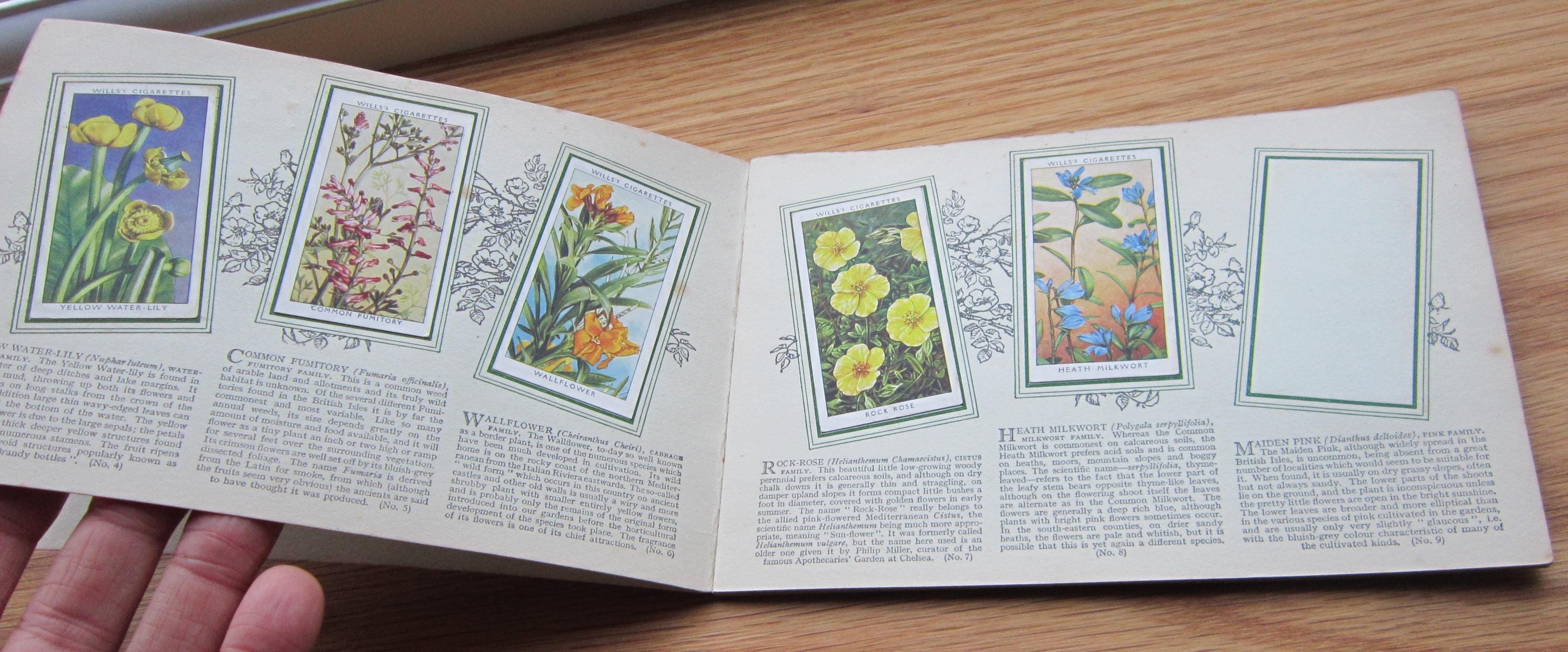 cigarette card books Wills Album by W D., H O. Wills on Moe's century beginnings to the mid 3 Antique Cigarette Cards Albums