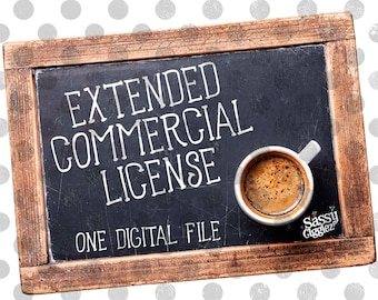 Extended Commercial License - One Digital File - Single User