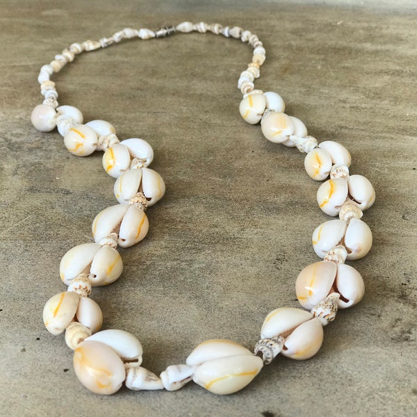 necklace of mussels and rapancheta,Kauri shell anklet, kauri anklet, Chain kauri mussel