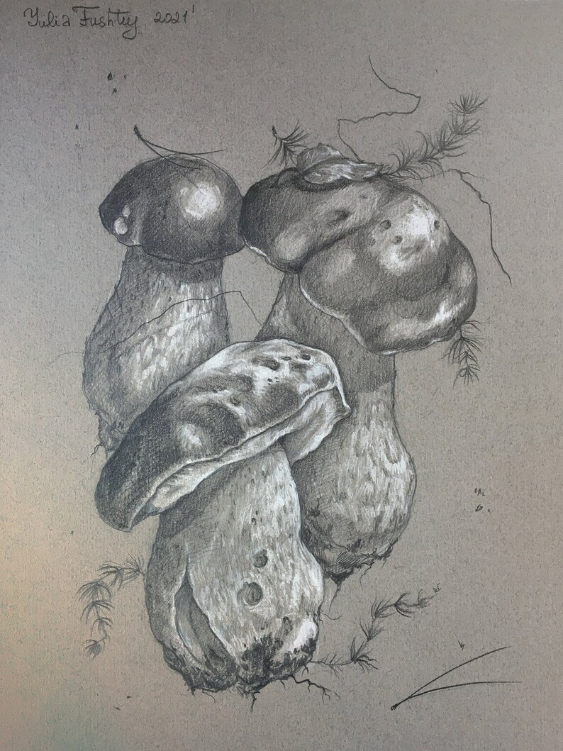 Porcini mushroom group botanical pencil and pastel illustration Porcini mushroom group botanical pencil and pastel illustration