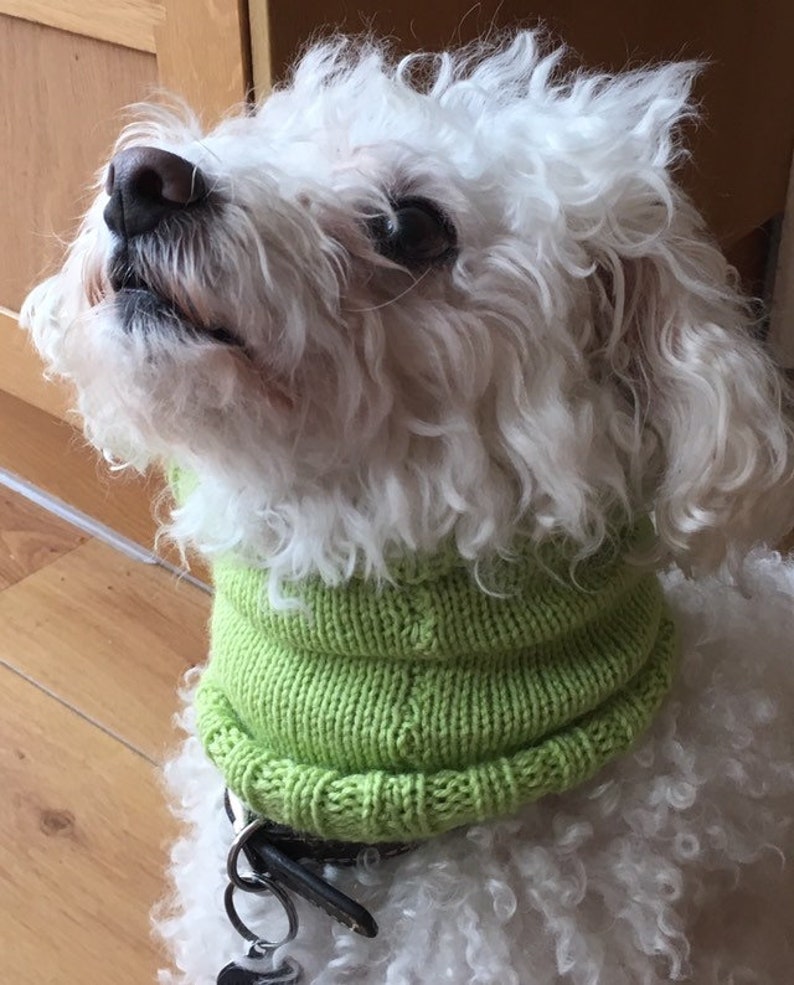 Dachshund Knitted Snood Sausage Dog Neck Warmerdog Scarf Etsy UK