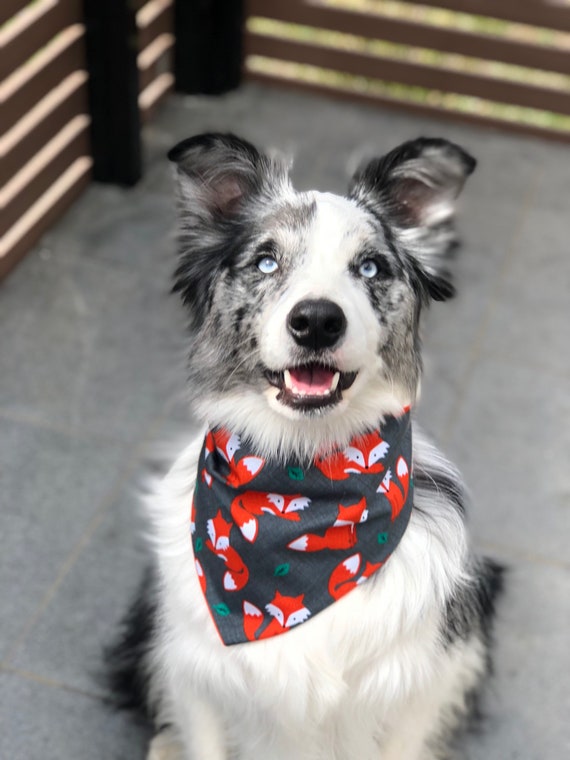 custom dog neckerchief