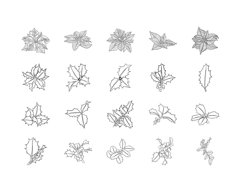 May include: A set of 20 black and white line drawings of holly and poinsettia plants. The drawings are simple and elegant, and would be perfect for use in holiday crafts or decorations.