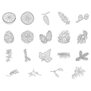 May include: A black and white line drawing illustration of various botanical elements, including pine cones, holly, ivy, mistletoe, and citrus fruit.