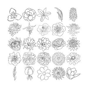 May include: A collection of 30 black and white line drawings of various flowers. The flowers are drawn in a simple, elegant style and are perfect for use in a variety of creative projects.