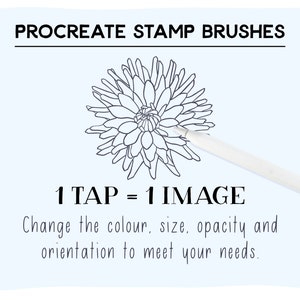May include: A digital illustration of a flower with the text "PROCREATE STAMP BRUSHES" and "1 TAP = 1 IMAGE" below the flower. The text below the image reads "Change the colour, size, opacity and orientation to meet your needs."