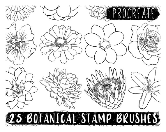 Art & Collectibles Digital Flowers Botanical Procreate Stamp Brushes ...