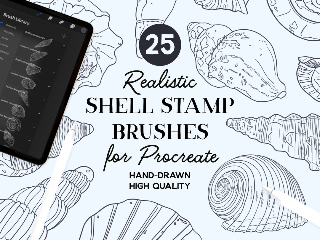 Procreate Seashell Stamp Brushes (instant Download) - Etsy