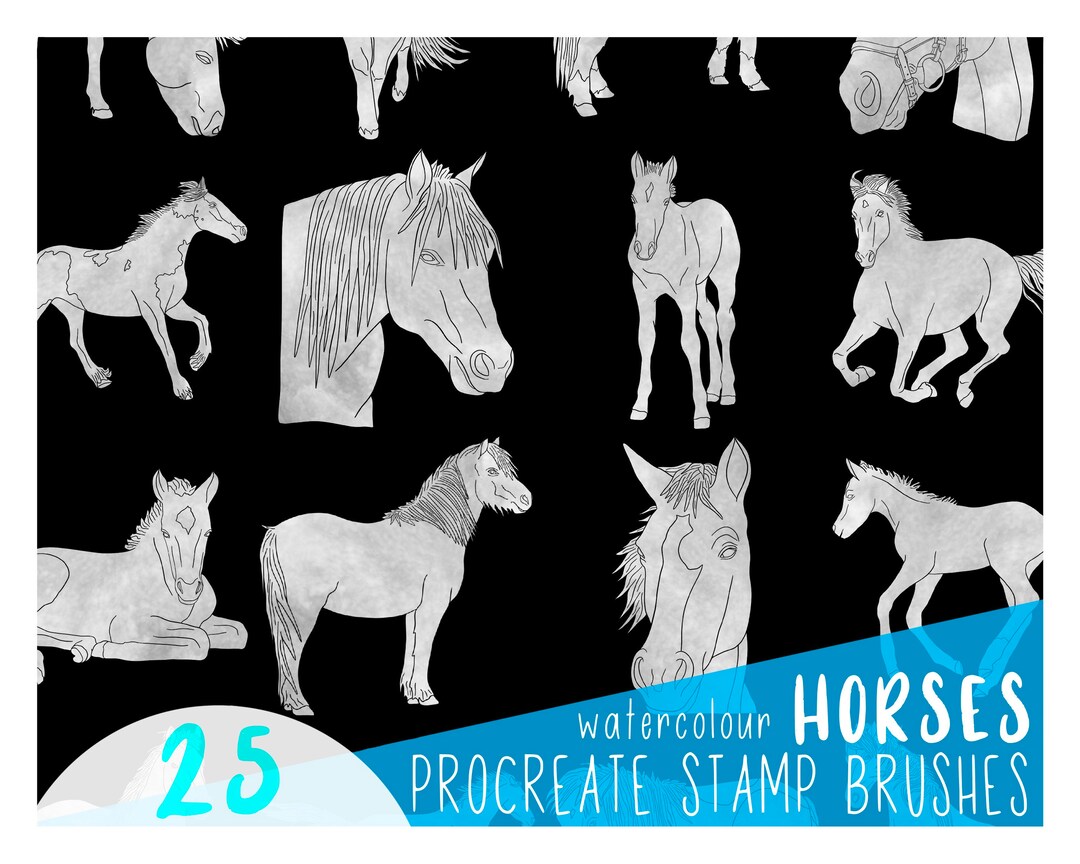 Horse Stamp Procreate Equestrian Pony Foal Animal Etsy