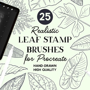 Procreate Blattstempel, 25 Laubblattstempel für Procreate, Sofortdownload, kommerzielle Nutzung erlaubt