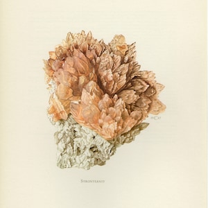 May include: Illustration of a Strontianite mineral specimen. The mineral features a cluster of peach-colored, crystalline formations atop a porous, gray base. The artwork is set against a cream-colored background, with the text "STRONTIANIT" at the bottom.