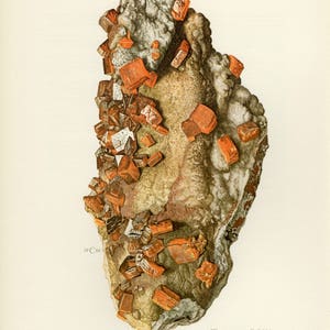 WULFENITE MINERAL PRINT Vintage litografi från 1968