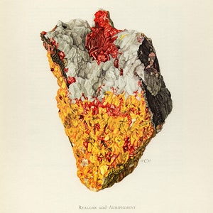 Op de afbeelding: Illustratie van een mineraalmonster met een mix van kleuren. Het bovenste gedeelte toont een cluster van helderrode kristallen, die overgaan in grijze en witte formaties. De onderkant toont levendige gele en oranje tinten. De tekst "REALGAR und AURIPIGMENT" staat onderaan.